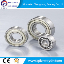 Stainless Steel Ball Bearing Deep Groove Ball Bearing